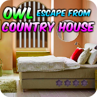 AvmGames Owl Escape From Country House Walkthrough
